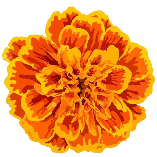 hidden flower